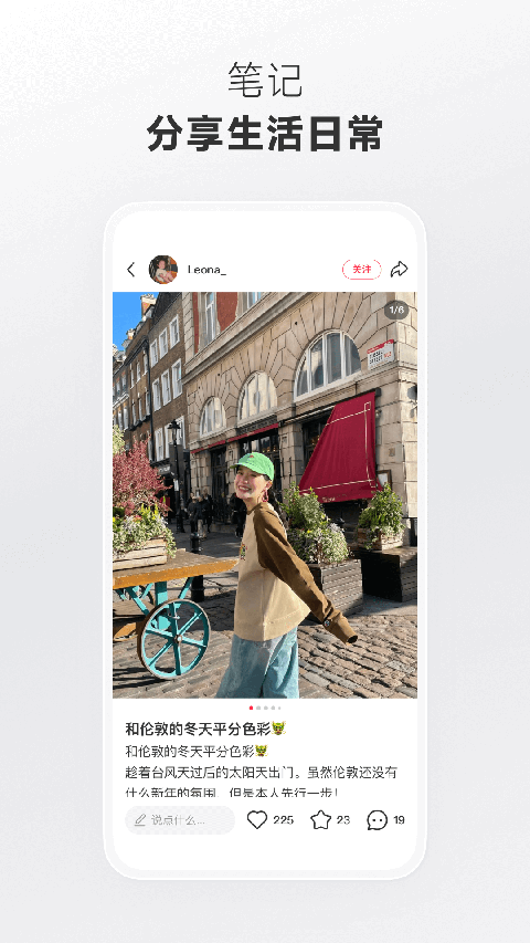 趴在毛毯上的布偶猫伸懒腰壁纸